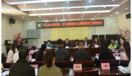张书记调研指导 工作简报”