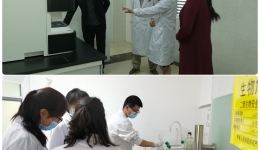 人工智能筛查项目实验室，落户阿坝州