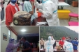 践行使命与担当  筑牢疫情防线