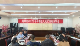 阿坝州妇计中心圆满完成阿坝州监测点 5岁以下儿童死亡暨2022年下半年新生儿死亡州级评审会