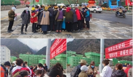 “健康女性 幸福生活”—妇女“两癌” 防治宣传活动
